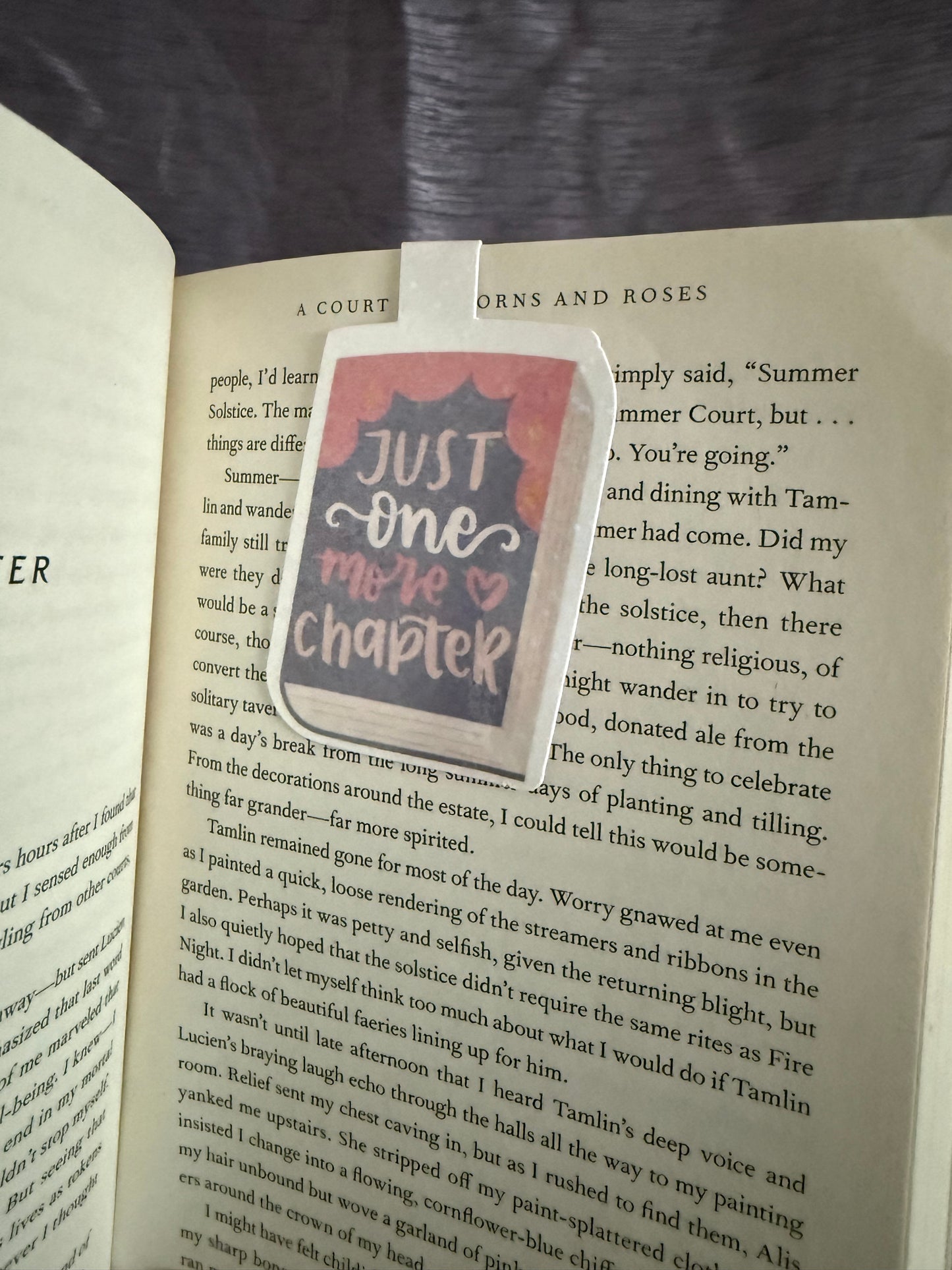 Just One More Chapter Book Magnet Bookmark